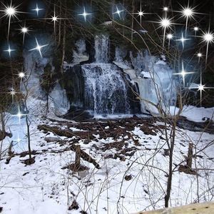 Meet your Posher, Todd